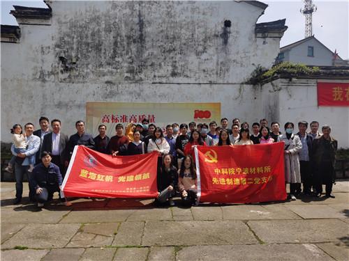 泰迪纯种和不纯图对比-专业问答,解答你的疑惑